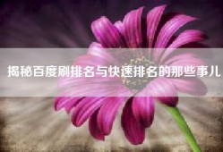 揭秘百度刷排名与快速排名的那些事儿