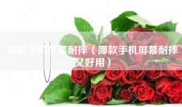 哪款手机屏幕耐摔（哪款手机屏幕耐摔又好用）