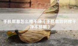 手机屏幕怎么擦干净（手机屏如何擦干净不易脏）
