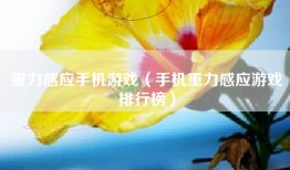 重力感应手机游戏（手机重力感应游戏排行榜）