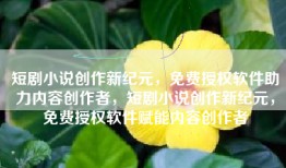 短剧小说创作新纪元，免费授权软件助力内容创作者，短剧小说创作新纪元，免费授权软件赋能内容创作者