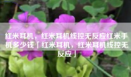 红米耳机，红米耳机线控无反应红米手机多少钱「红米耳机，红米耳机线控无反应」
