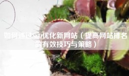 如何通过SEO优化新网站（提高网站排名的有效技巧与策略）