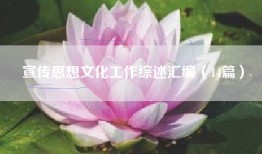 宣传思想文化工作综述汇编（14篇）