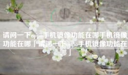 请问一下oppo手机镜像功能在哪手机镜像功能在哪「请问一下oppo手机镜像功能在哪」