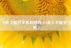 飞机上能开手机拍照吗（5类人不能坐飞机）
