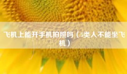 飞机上能开手机拍照吗（5类人不能坐飞机）