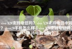 vivo X20支持电信吗？vivo X20支持电信卡吗？vivox20手机怎么样「vivo X20支持电信吗？vivo X20支持电信卡吗？」