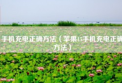 手机充电正确方法（苹果15手机充电正确方法）