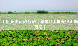 手机充电正确方法（苹果15手机充电正确方法）