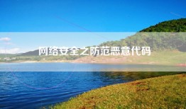 网络安全之防范恶意代码