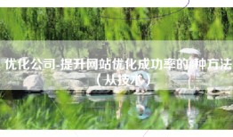 优化公司-提升网站优化成功率的8种方法（从技术）