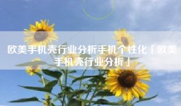 欧美手机壳行业分析手机个性化「欧美手机壳行业分析」