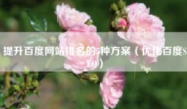 提升百度网站排名的5种方案（优化百度SEO）
