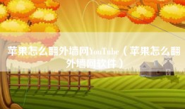 苹果怎么翻外墙网YouTube（苹果怎么翻外墙网软件）