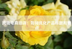 跨境电商培训：如何优化产品标题和要点