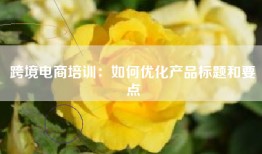 跨境电商培训：如何优化产品标题和要点