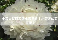 小麦光伏商家版小麦手机「小麦光伏商家版」