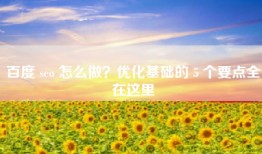 百度 seo 怎么做？优化基础的 5 个要点全在这里