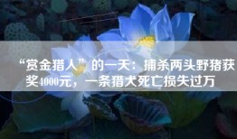 “赏金猎人”的一天：捕杀两头野猪获奖4000元，一条猎犬死亡损失过万
