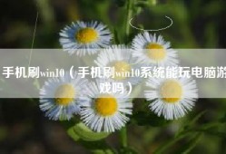 手机刷win10（手机刷win10系统能玩电脑游戏吗）