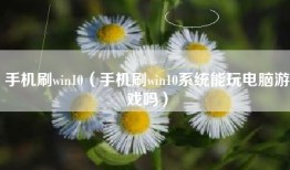 手机刷win10（手机刷win10系统能玩电脑游戏吗）