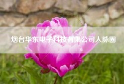 烟台华东电子科技有限公司人脉圈