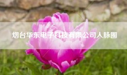 烟台华东电子科技有限公司人脉圈