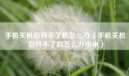 手机关机后开不了机怎么办（手机关机后开不了机怎么办小米）