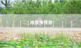 维度侵蚀者