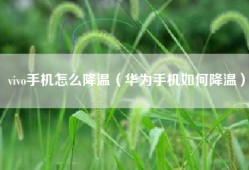 vivo手机怎么降温（华为手机如何降温）