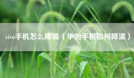 vivo手机怎么降温（华为手机如何降温）