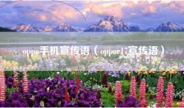 oppo手机宣传语（oppor17宣传语）