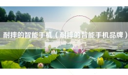 耐摔的智能手机（耐摔的智能手机品牌）