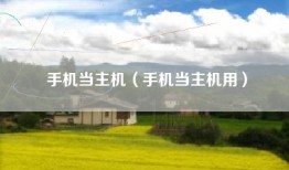 手机当主机（手机当主机用）