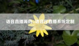 语音直播源码--语音厅直播系统定制