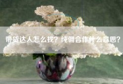 带货达人怎么找？纯佣合作什么意思？
