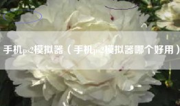 手机ps2模拟器（手机ps2模拟器哪个好用）