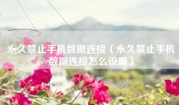 永久禁止手机数据连接（永久禁止手机数据连接怎么设置）