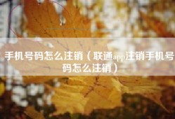 手机号码怎么注销（联通app注销手机号码怎么注销）