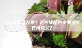 什么是纵深发展？这种战略对企业成长有何意义？