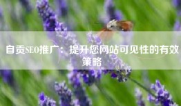 自贡SEO推广：提升您网站可见性的有效策略