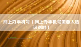 网上办手机号（网上办手机号需要人脸识别吗）