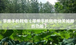 苹果手机耗电（苹果手机耗电快关掉哪些功能）
