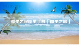 图灵之眼图灵手机「图灵之眼」