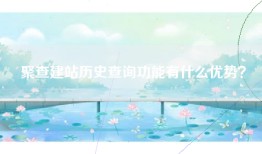 聚查建站历史查询功能有什么优势？