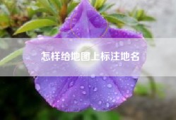 怎样给地图上标注地名