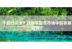 牛股什么型？这些牛股在市场中的表现如何？