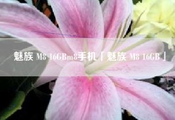 魅族 M8 16GBm8手机「魅族 M8 16GB」