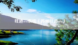 旺道seo系统（苏州旺道seo）